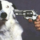Image for article titled R.I.P. Michael Gross, National Lampoon alum and designer of the Ghostbusters logo